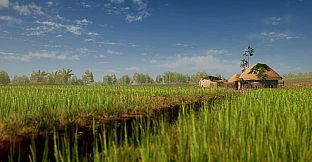 Devi : A light in the dark