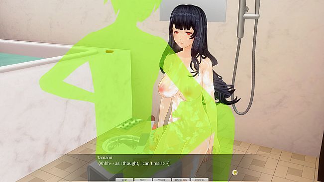 CUSTOM ORDER MAID 3D2 & 2.5 Situation Character Pack Soapland Empire Elegant