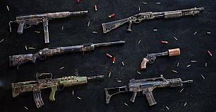 Insurgency: Sandstorm - Year 1 Pass