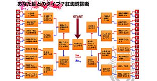 Red Spider Chronicle