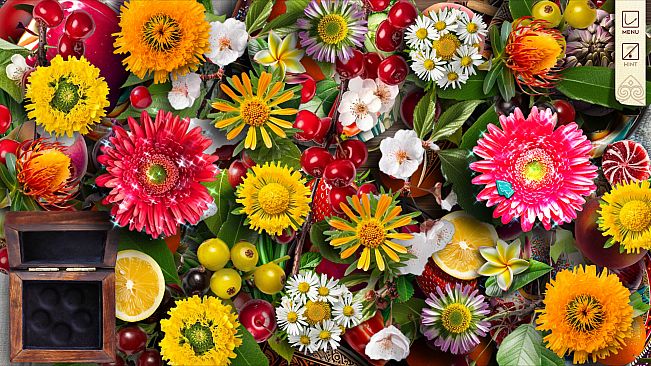 Twistingo: Turtle Bay Collector's Edition