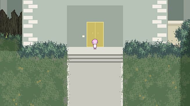 At Home Alone - Reward 5$