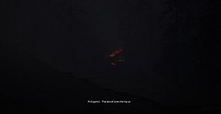 Echoes of Sin: Confusion