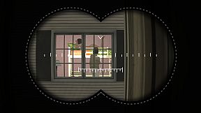 Crime Detective: Red Flags