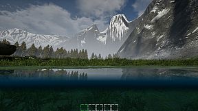 Mushroom Selection 2