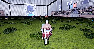 Hades Ultimate Fighting Ball