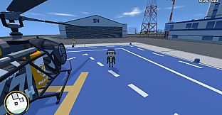 SKYSAVIOR Helicopter Services