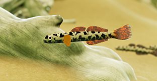 Fish Game - Indonesia Fish Pack 1