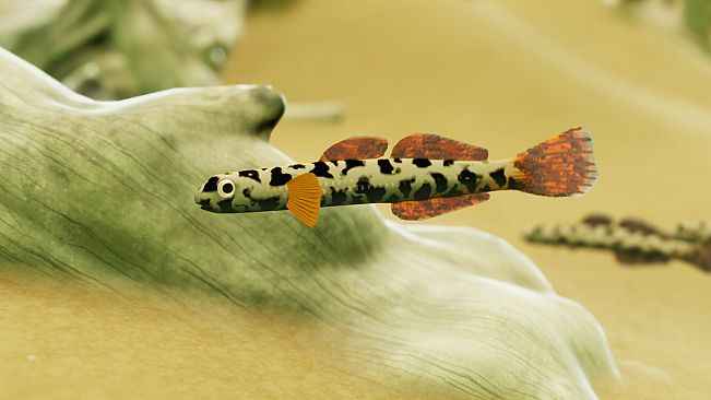 Fish Game - Indonesia Fish Pack 1