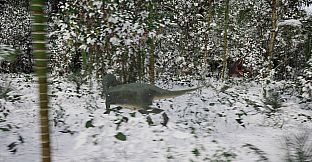 Evolution Of The Ancients