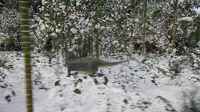 Evolution Of The Ancients