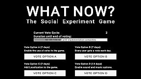 WHAT NOW? - The Social Experiment Game
