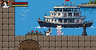 Catstanbul