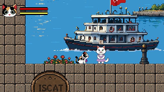 Catstanbul