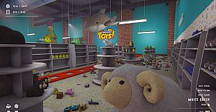 Too Many Toys!