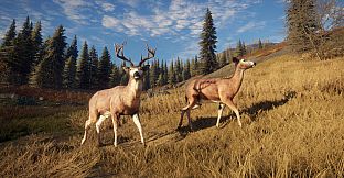 theHunter: Call of the Wild - TruRACS