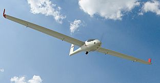 RealFlight Evolution - Tower Hobbies ASW-28