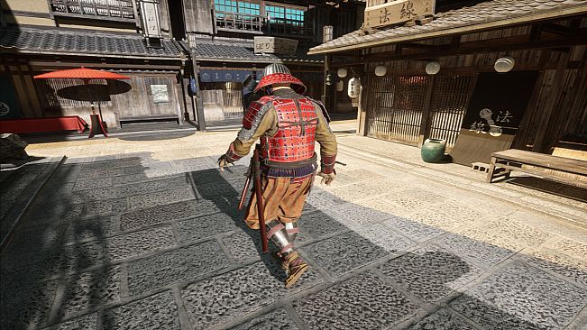 The Ronin: Samurai Gunslinger