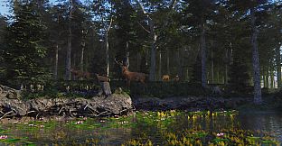 Birding Simulator: Bird Photographer