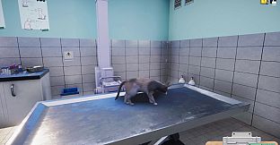 Animal Shelter - Vet Clinic DLC