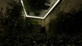 The Upper Downer Complex