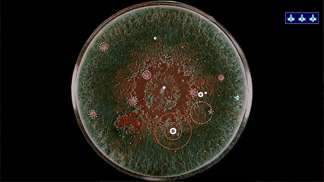 Coronavirus - Nano Force