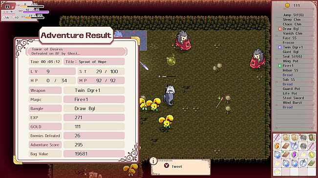 Lys and Ruka's Magical Bag