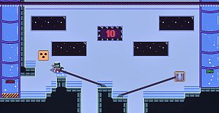 Capybara and Cat Bundle