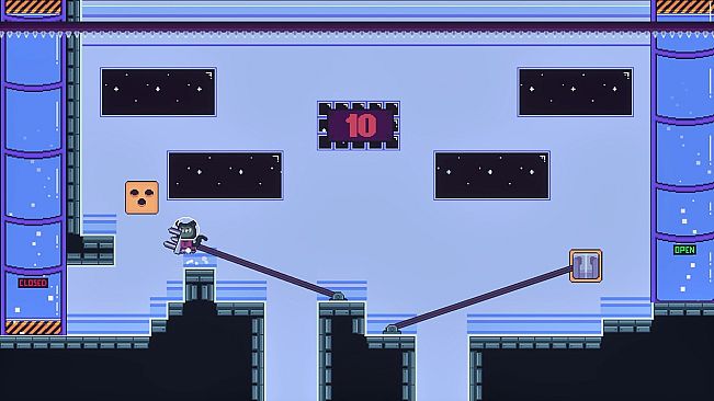 Capybara and Cat Bundle