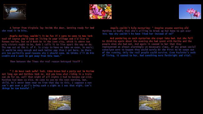 Plum Bun Reformatted