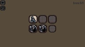 Animals Memory: Monkeys