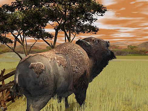 Wildlife Park 2 - Crazy Zoo