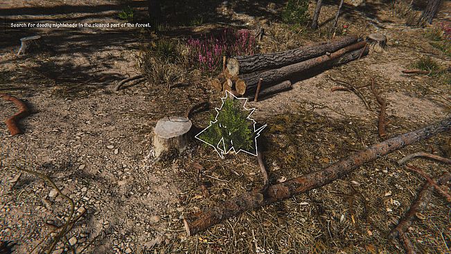 Herbalist Roman