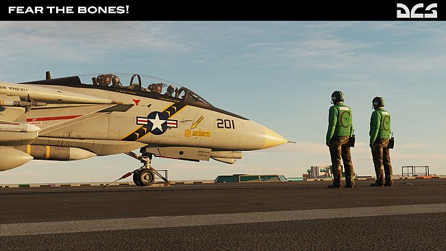 DCS: F-14A Fear the Bones Campaign
