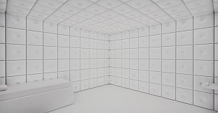 The White Room