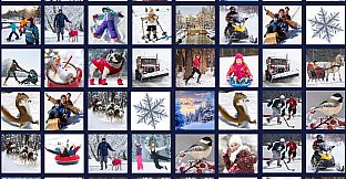 Memory Lost Pairs - Winter