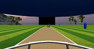 JUST BAT (VR CRICKET)