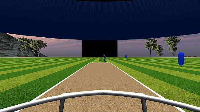 JUST BAT (VR CRICKET)