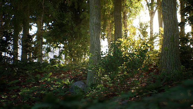 Stone Simulator – Just Be a Rock