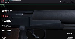 Friendly Fire: Arena