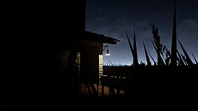 NINA: The Wedding of Shadows