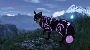 Spirit of the North 1 & 2 Bundle