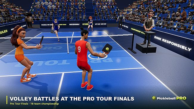 Pickleball Pro