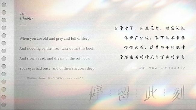 停留此刻 Stay in the moment