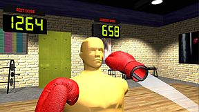 VR Boxing Workout
