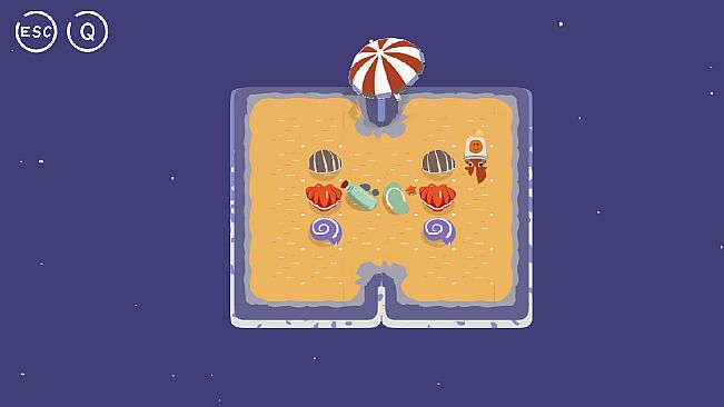 A hermit crab is finding a house