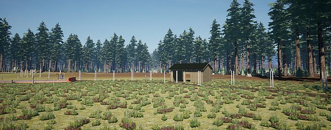 Wilderness Survival: The Conservationist