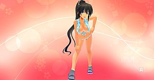 SENRAN KAGURA Burst Re:Newal - Costume Set Vol.4