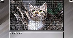 Super Jigsaw Puzzle: Generations - Cats 2