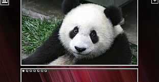 Super Jigsaw Puzzle: Generations - Bears Puzzles